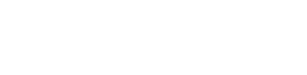 Visatrust logo white